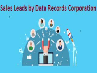 Sales leads by Data Records  Corporaiton.ppt