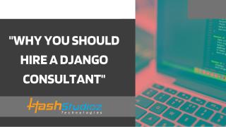 Why You Should Hire a Django Consultant.pdf