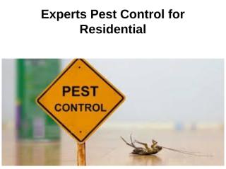 Experts Pest Control for Residential.ppt